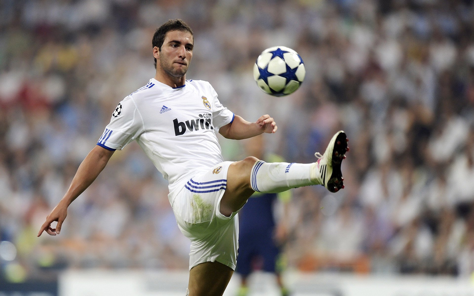 诺埃·庞蒂100米蝶泳决赛表现亮眼