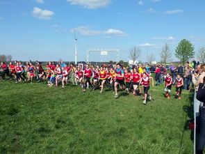 体教融合试点城市扩容推动青少年体育系统化发展，体教融合促进青少年发展