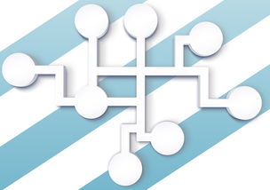 体育新闻中心支持体育教育数字化工具内容推广，体育教育新闻稿